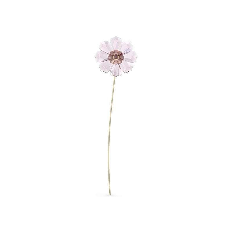 Oggettistica Swarovski Garden Tales Cosmos