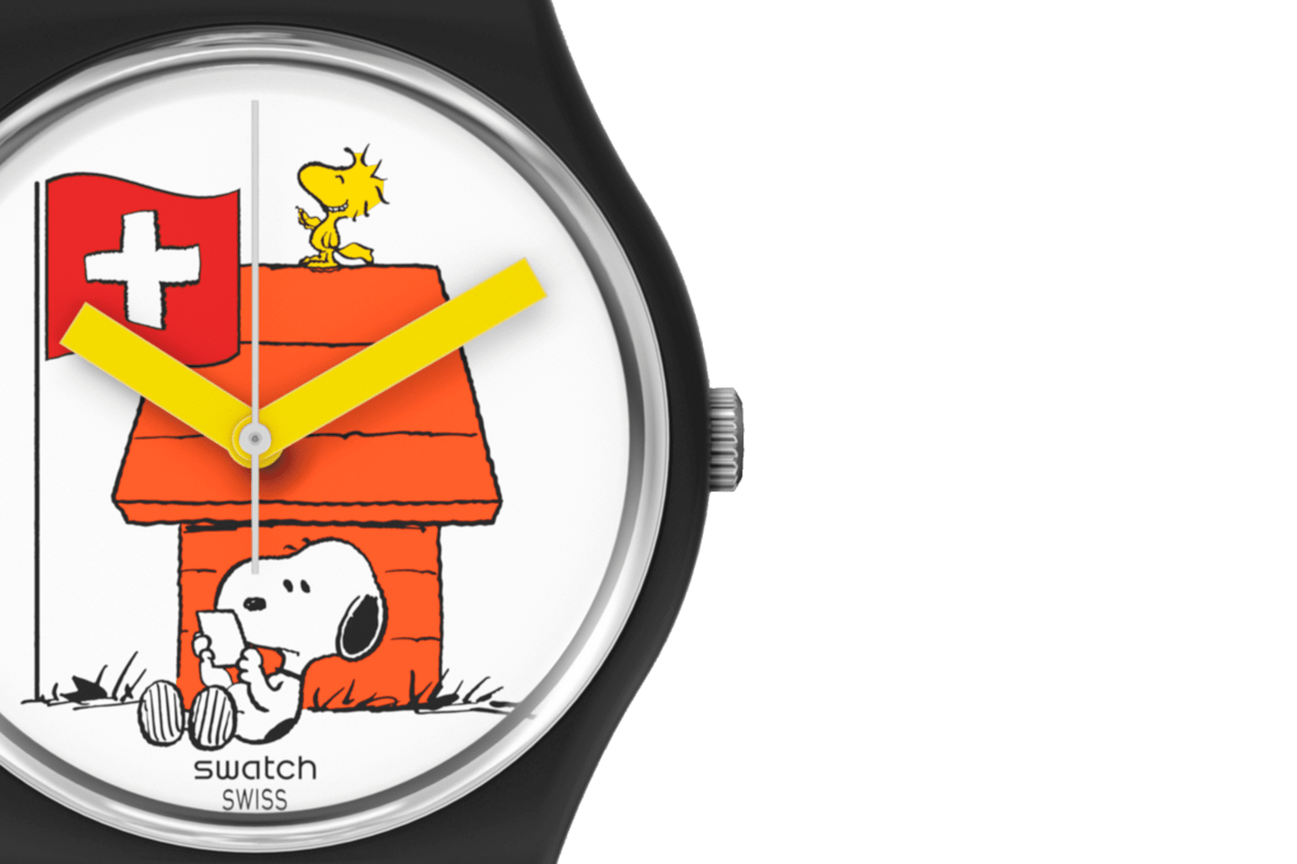 Orologio Swatch Grande Bracchetto