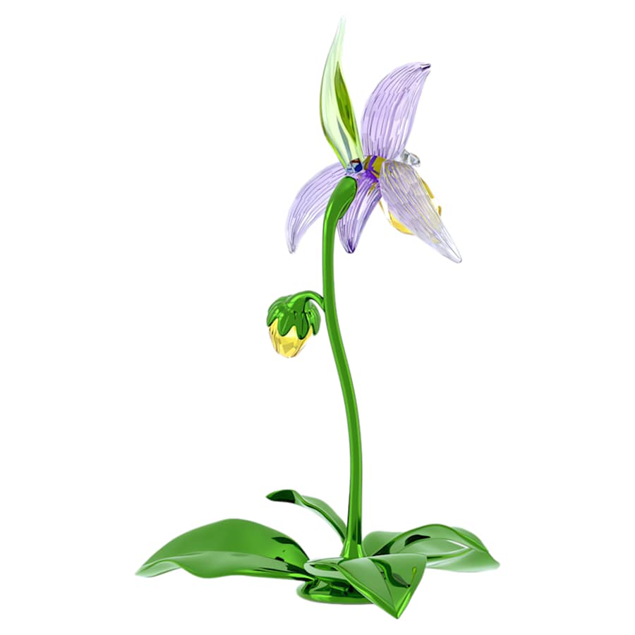 Oggettistica Swarovski Florere Lady Slipper Orchid, Orchidea Scarpetta di Venere