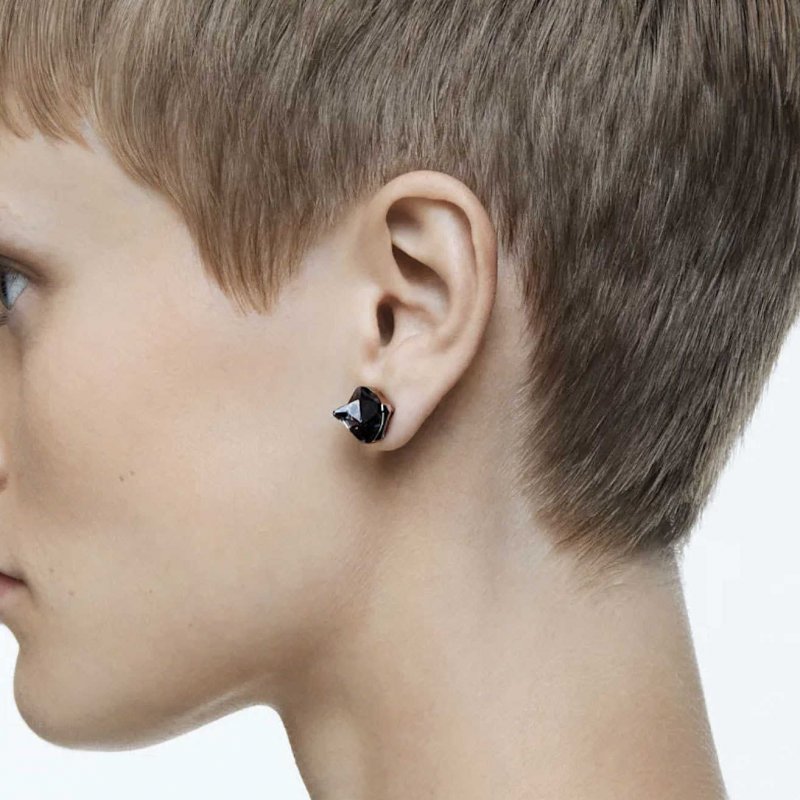 Orecchini Swarovski Matrix A Lobo