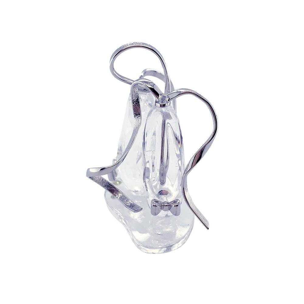 Oggettistica Swarovski Scs Annas Ballet Shoes, Scarpette da Punta
