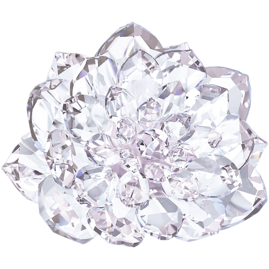 Oggettistica Swarovski Dalia