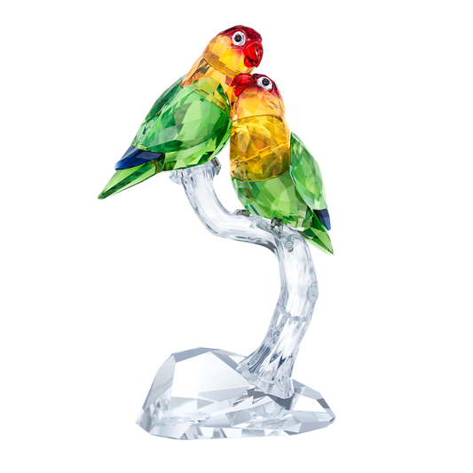 Oggettistica Swarovski Pappagalli Inseparabili