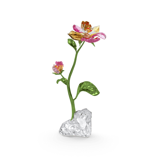 Oggettistica Swarovski Idyllia Flower Fiore Grande