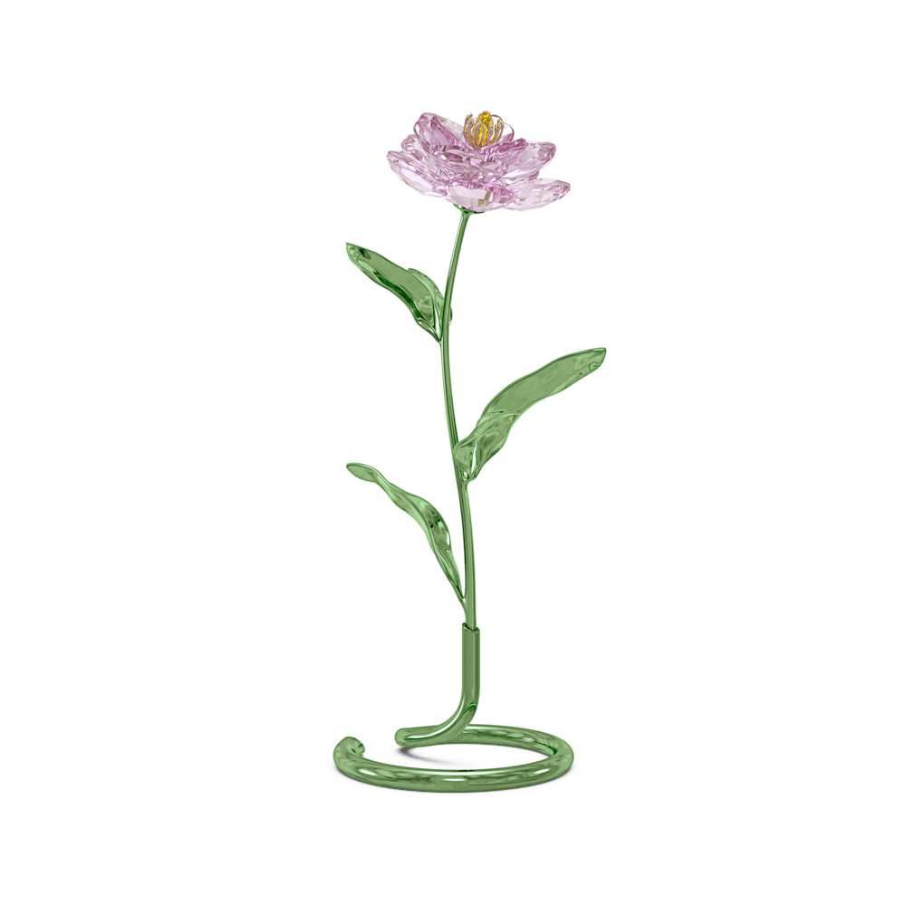 Oggettistica Swarovski Florere Peonia