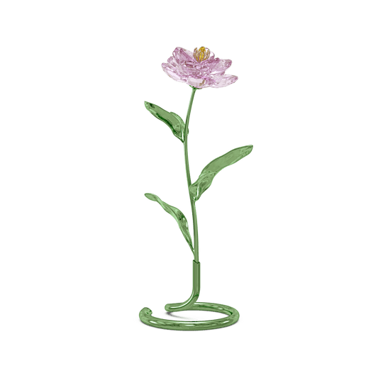 Oggettistica Swarovski Florere Peonia