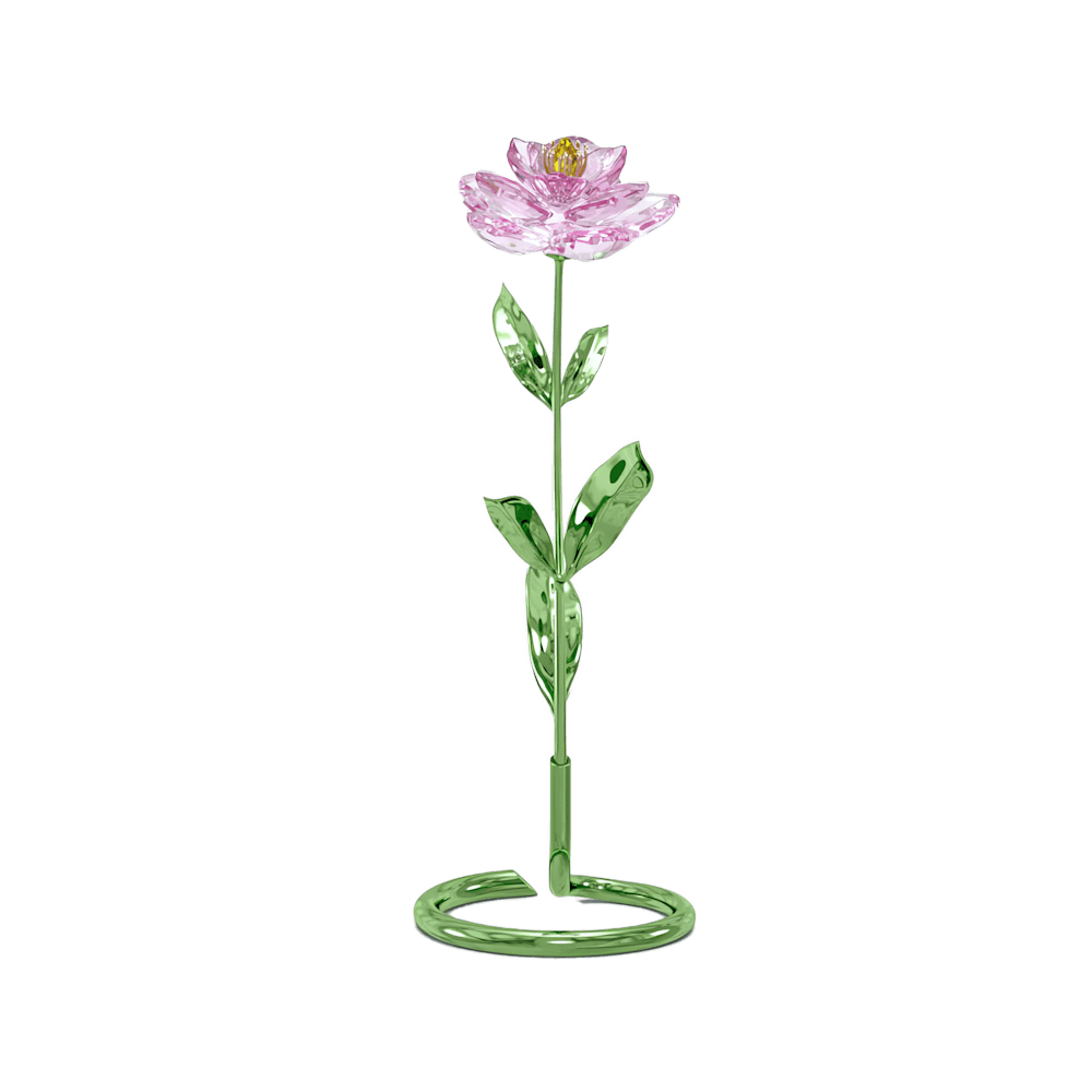 Oggettistica Swarovski Florere Peonia