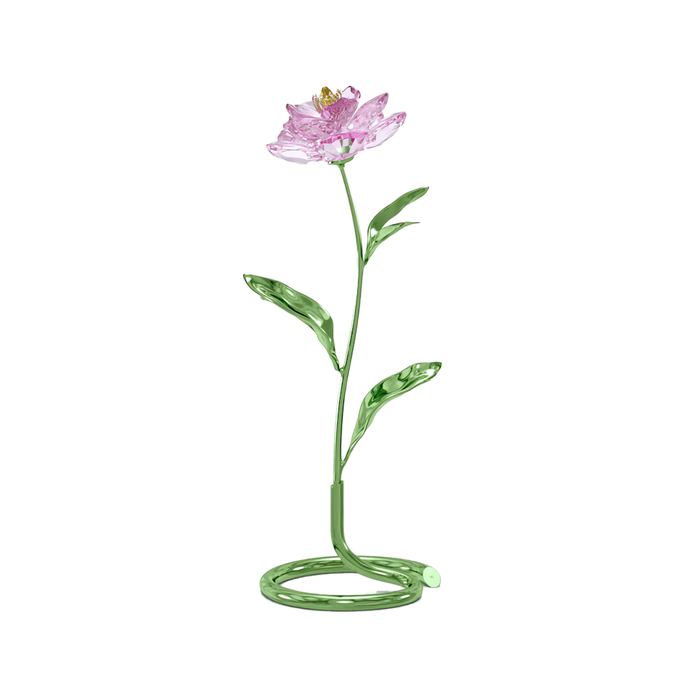 Oggettistica Swarovski Florere Peonia