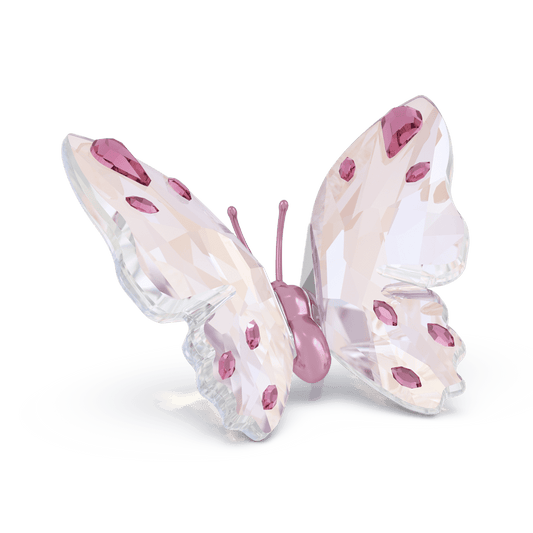Oggettistica Swarovski Idyllia Farfalla, Piccola