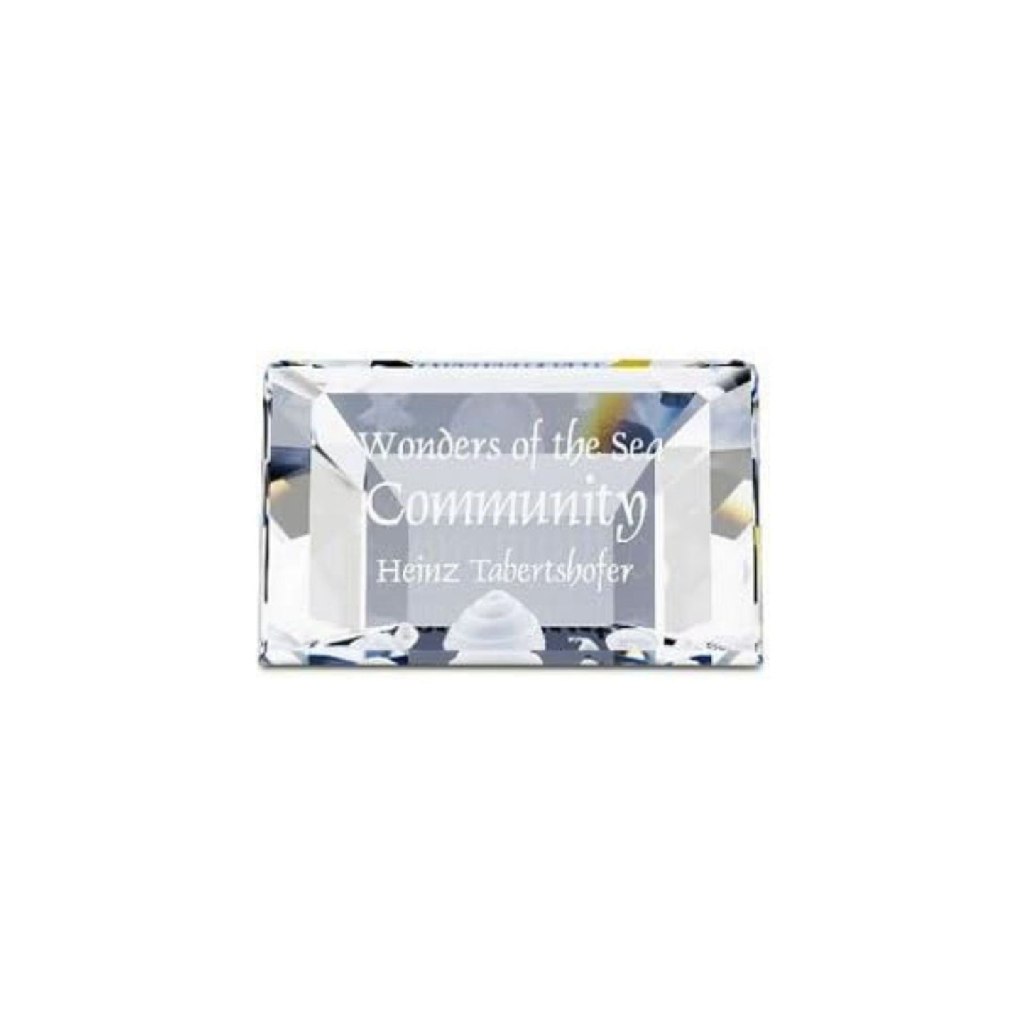 Oggettistica Swarovski Scs Targa Community 2007