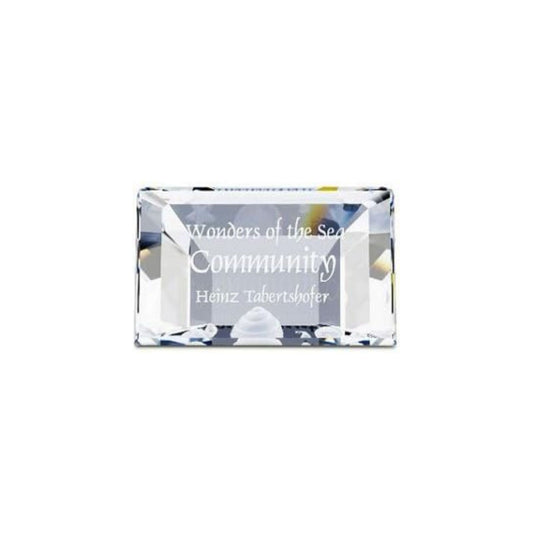 Oggettistica Swarovski Scs Targa Community 2007