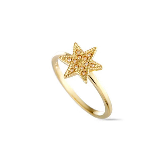 Anello Swarovski Field Star - Misura 55
