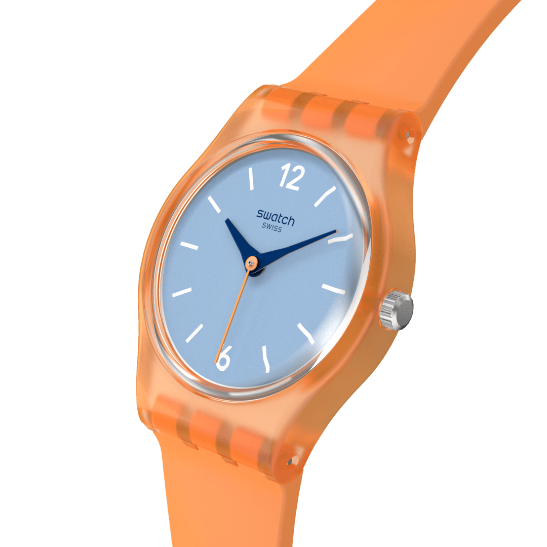 Orologio Swatch View From Mesa