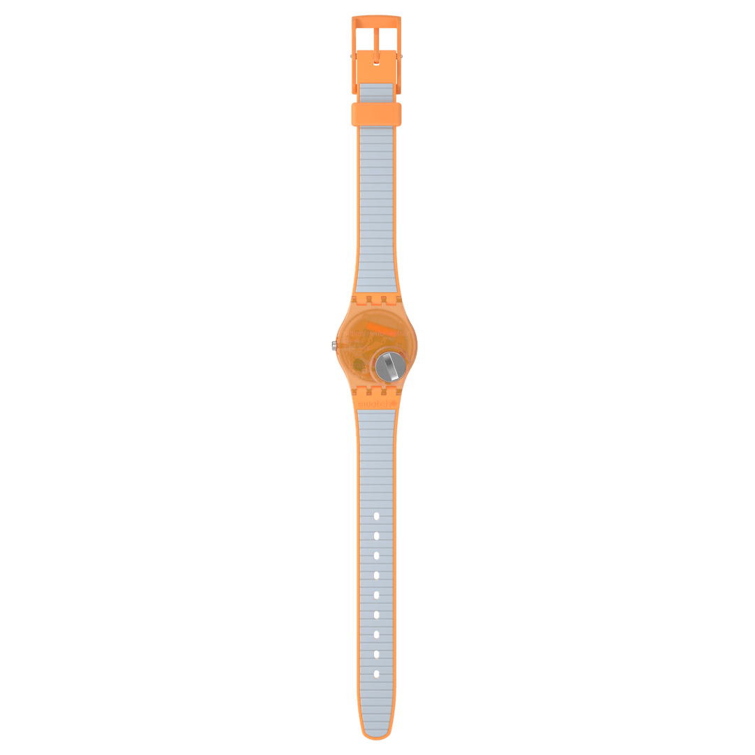 Orologio Swatch View From Mesa