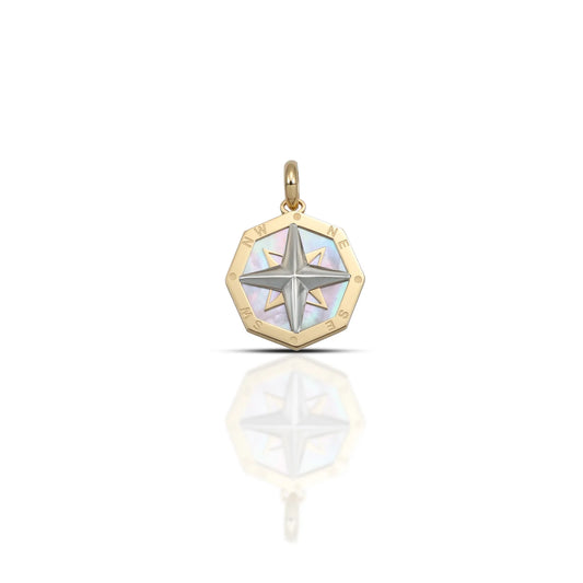 Ciondolo Dana Meridian Ottagonale Oro Giallo 9 Kt con Madreperla E Rosa Dei Venti Oro Bianco