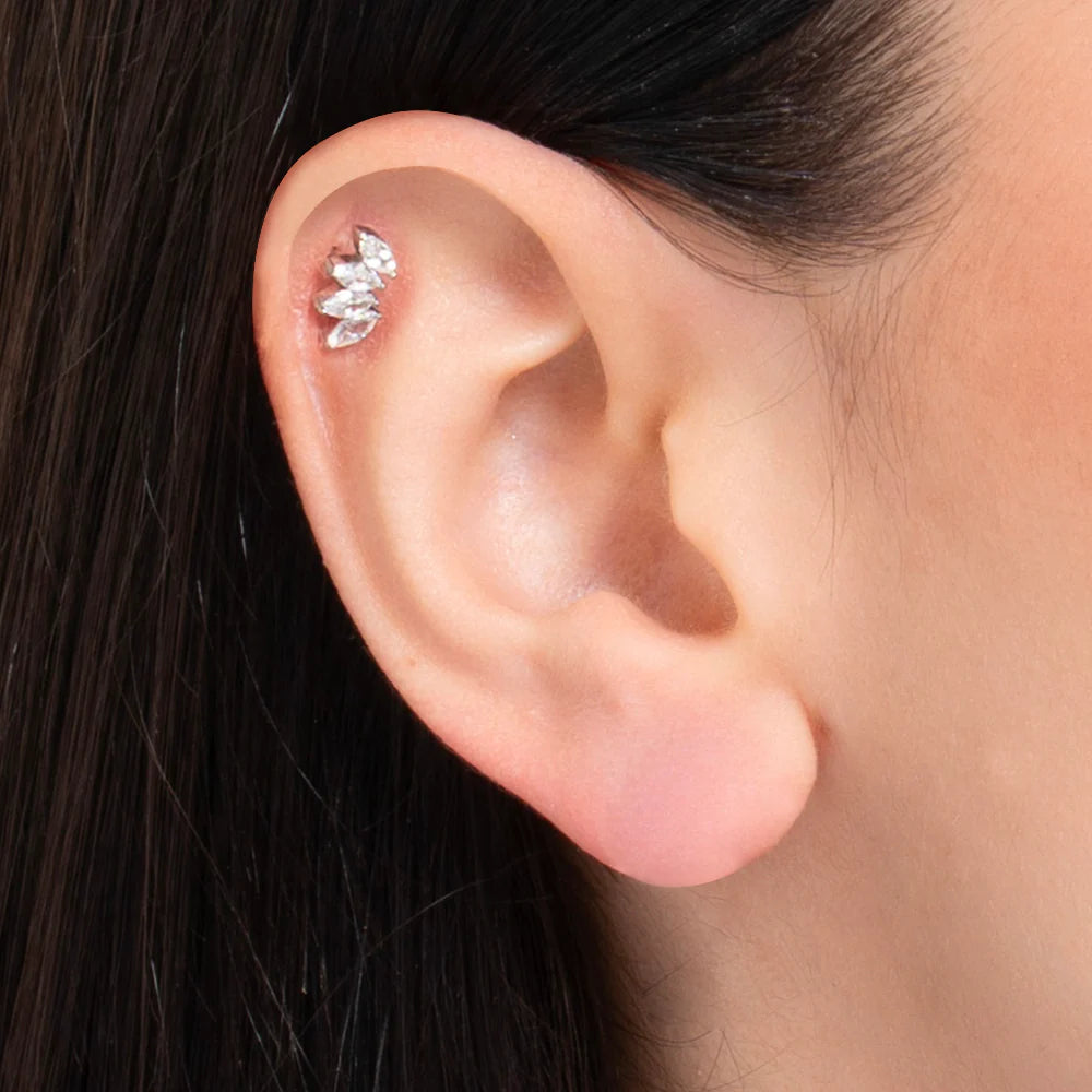 Piercing Luca Barra Acciaio 4 Foglioline Cristalli