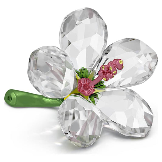 Oggettistica Swarovski Florere Hibiscus S