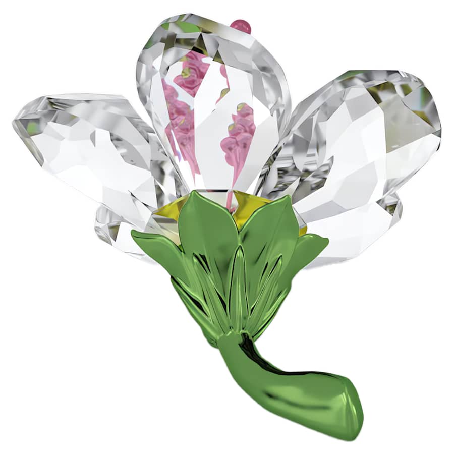 Oggettistica Swarovski Florere Hibiscus S