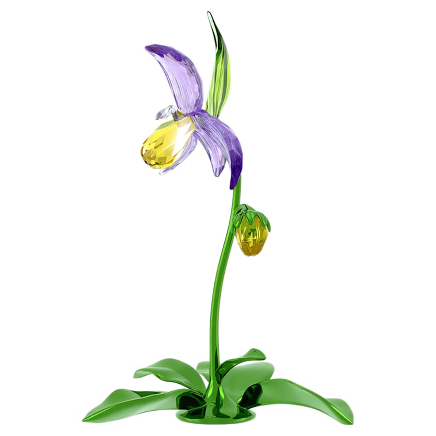 Oggettistica Swarovski Florere Lady Slipper Orchid, Orchidea Scarpetta di Venere
