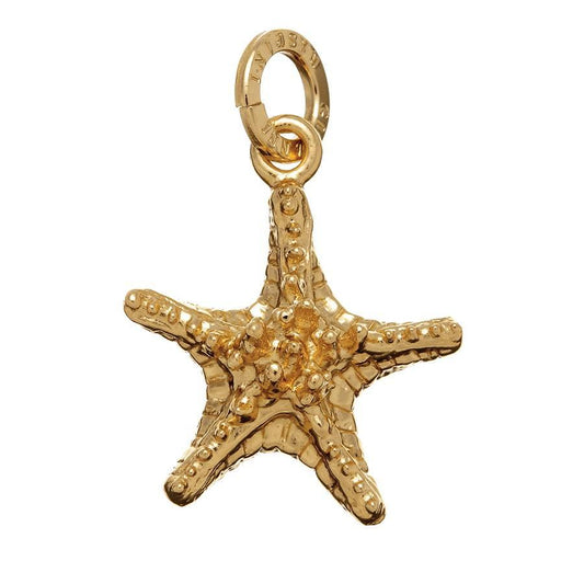 Charms Giovanni Raspini Charm Golden Stella Grassa