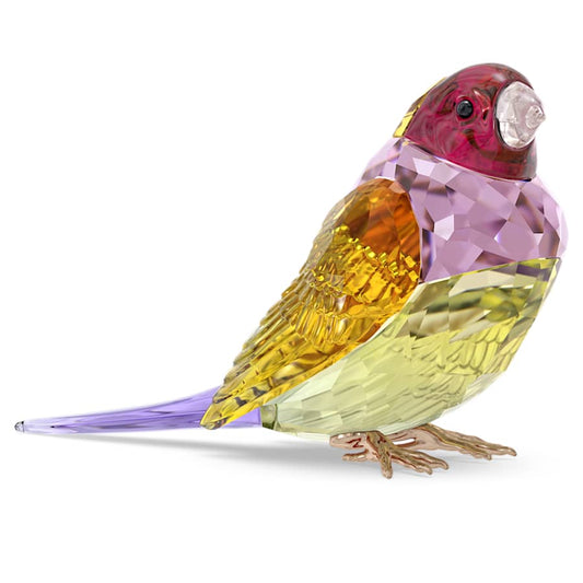 Oggettistica Swarovski Idyllia Scs Gouldian Finch, Diamante di Gould, Large - Edizione limitata