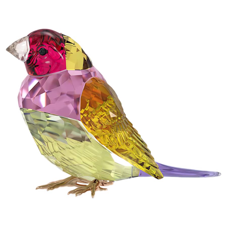 Oggettistica Swarovski Idyllia Scs Gouldian Finch, Diamante di Gould, Large - Edizione limitata