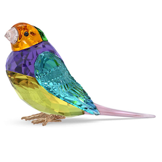 Oggettistica Swarovski Idyllia Scs Gouldian Finch, Diamante di Gould, Small - Edizione Limitata