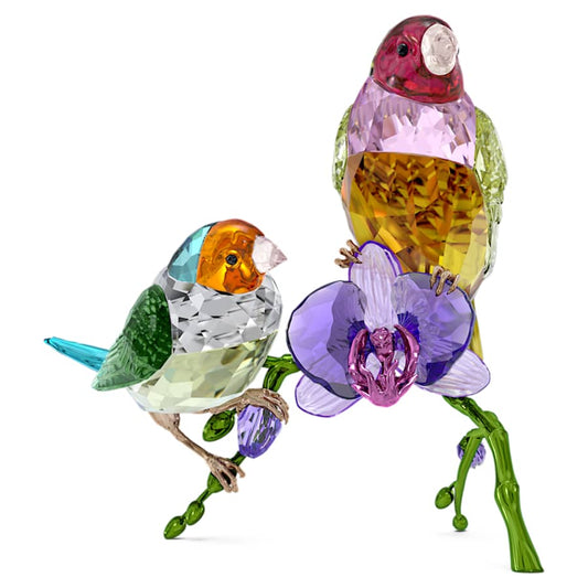 Oggettistica Swarovski Idyllia Scs Gouldian Finches, Diamanti di Gould - Edizione limitata