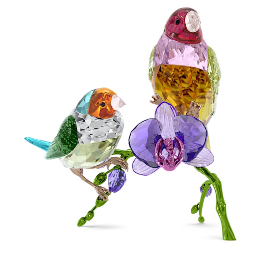 Oggettistica Swarovski Idyllia Scs Gouldian Finches, Diamanti di Gould - Edizione limitata