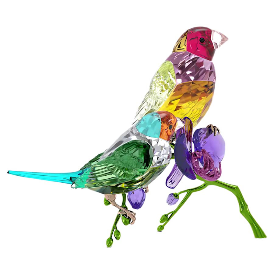 Oggettistica Swarovski Idyllia Scs Gouldian Finches, Diamanti di Gould - Edizione limitata