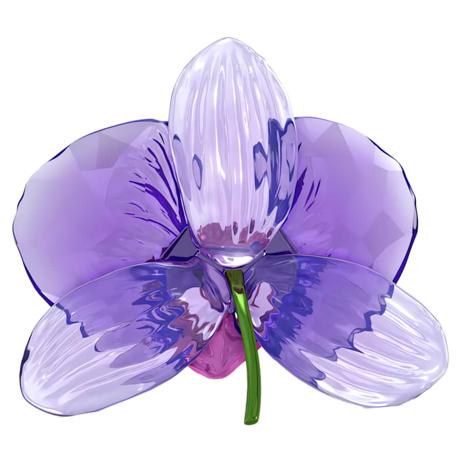 Oggettistica Swarovski Idyllia Scs Orchid Petal, Petalo di Orchidea - Edizione limitata
