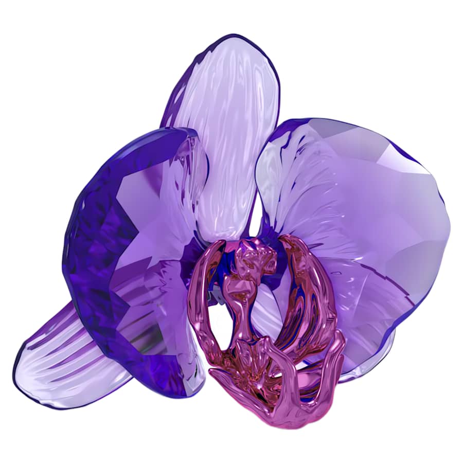 Oggettistica Swarovski Idyllia Scs Orchid Petal, Petalo di Orchidea - Edizione limitata