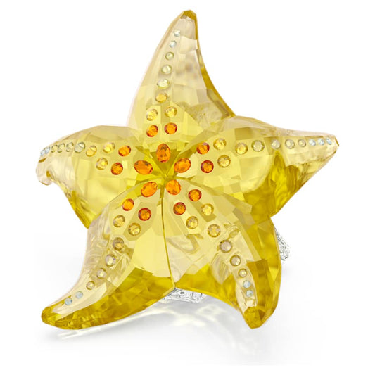 Oggettistica Swarovski Idyllia Scs Starfish Edizione Annuale 2025, Stella marina