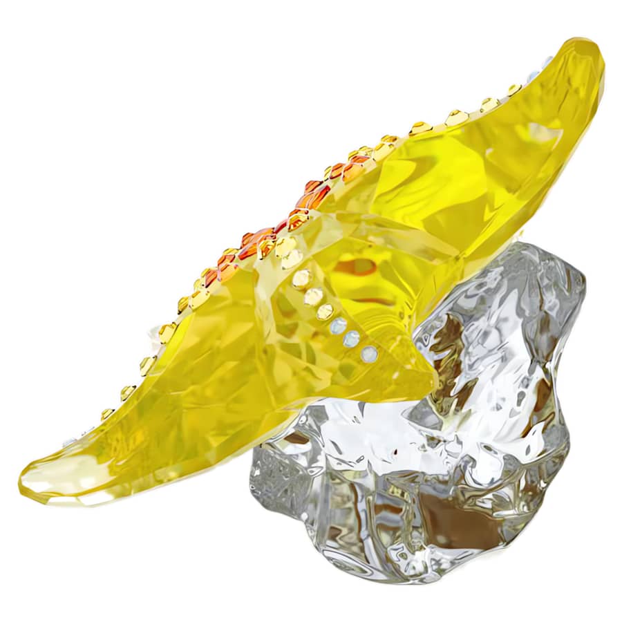 Oggettistica Swarovski Idyllia Scs Starfish Edizione Annuale 2025, Stella marina