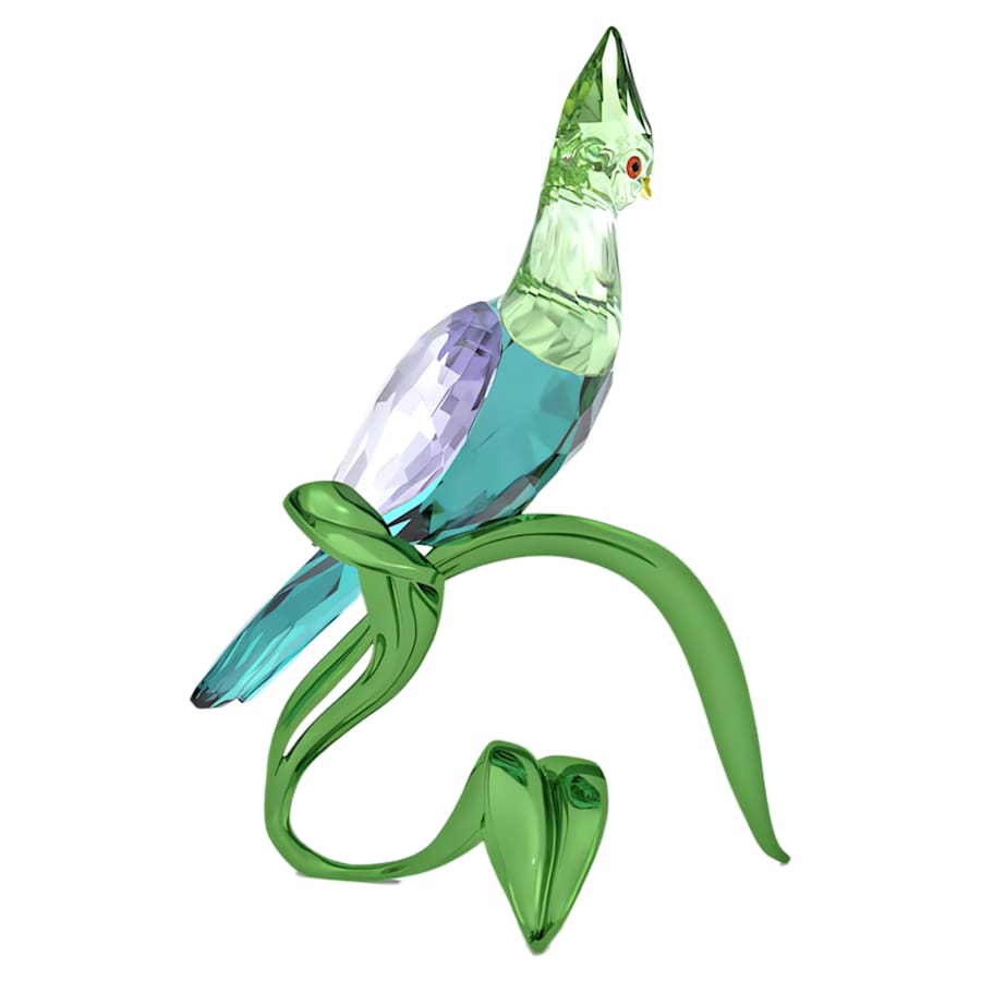 Oggettistica Swarovski Idyllia Green Turaco, Turaco Verde
