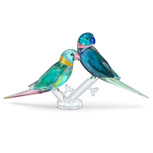 Oggettistica Swarovski Jungle Beats Coppia di Pappagallini Fife e Fifer