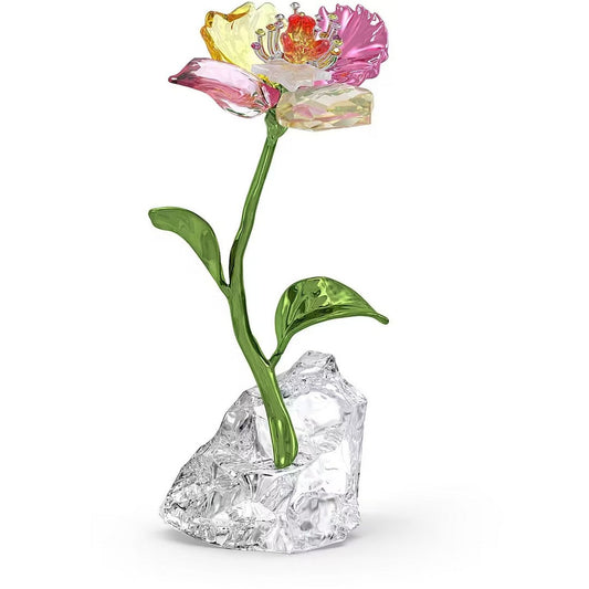 Oggettistica Swarovski Idyllia Flower S