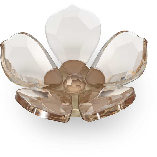 Oggettistica Swarovski Garden Tales Magnet Magnolia S