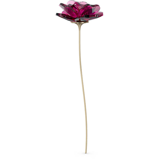 Oggettistica Swarovski Garden Tales Rose