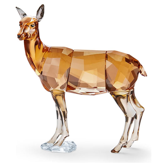 Oggettistica Swarovski Scs Doe, Cerva